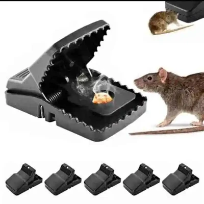 Super Powerful Mouse Trap Rat Trap